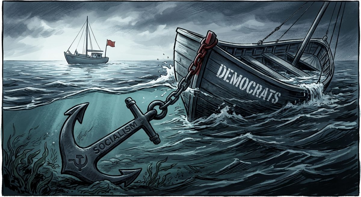 Democratic Socialists and Squandering the Moment